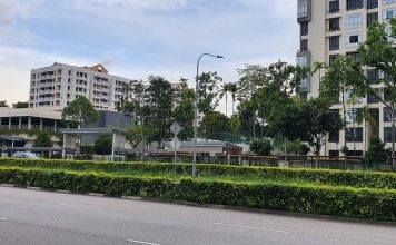 Xuất nhập khẩu Singapore, tình hình thị trường cần nắm tháng 3/2020