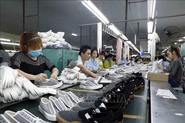 Vietnam’s leather, footwear exports exceed 14 billon USD in 7 months ...