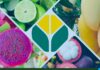 Seeking Import Partners in Singapore for Finest Agricultural Products from Da Lat