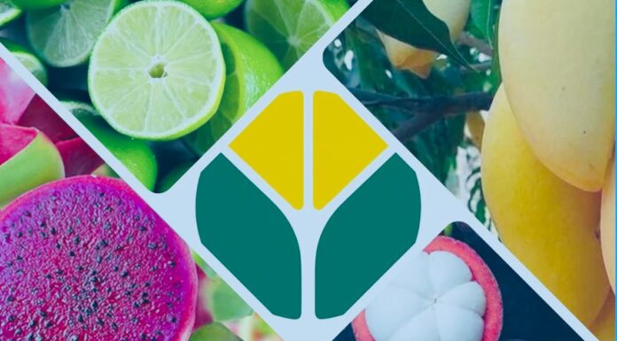 Seeking Import Partners in Singapore for Finest Agricultural Products from Da Lat