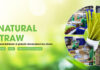 Ecostraws Vietnam Seeks Singapore Partners for Sustainable Rice Straw Solutions