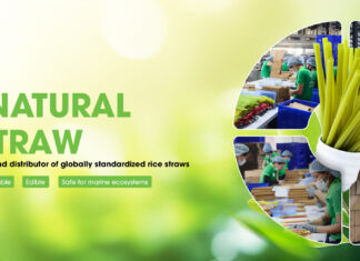 Ecostraws Vietnam Seeks Singapore Partners for Sustainable Rice Straw Solutions