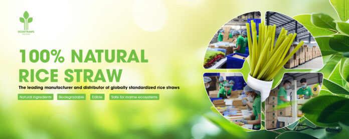 eco-banner-2-eng-scaled