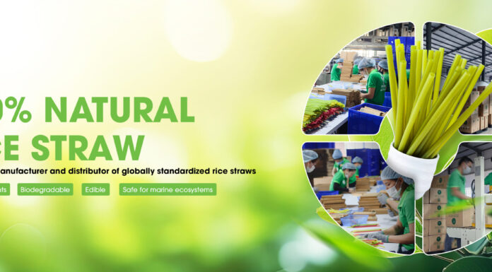 Ecostraws Vietnam Seeks Singapore Partners for Sustainable Rice Straw Solutions