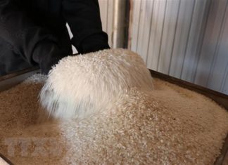 Vietnamese rice contest names winners