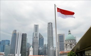 Tác động của quy định thuế mới đối với doanh nghiệp Singapore